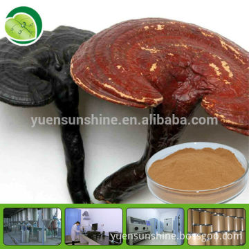 natural reishi mushroom extract powder